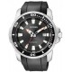 CINTURINO PER CITIZEN 8210-S071178