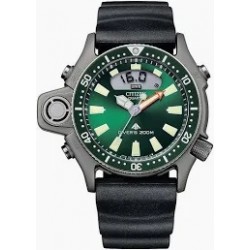 Cinturino Citizen C022-088093Y