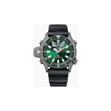 Cinturino Citizen C022-088093Y