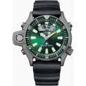 Cinturino Citizen C022 - C020 - C520
